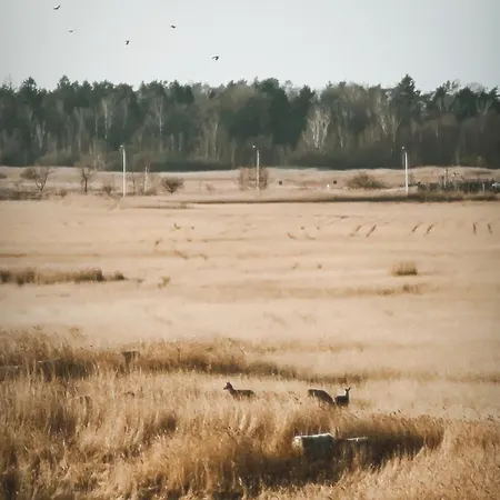 Westin House Resort&spa 科沃布热格