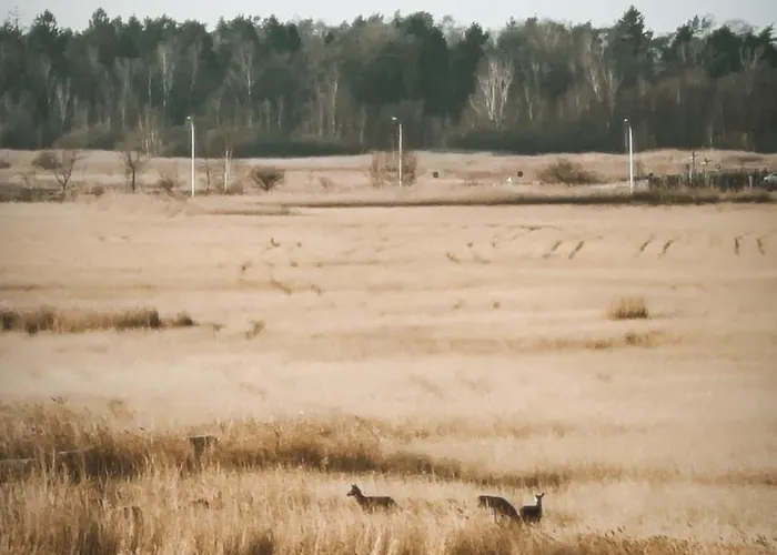 Westin House Resort&spa コウォブジェク