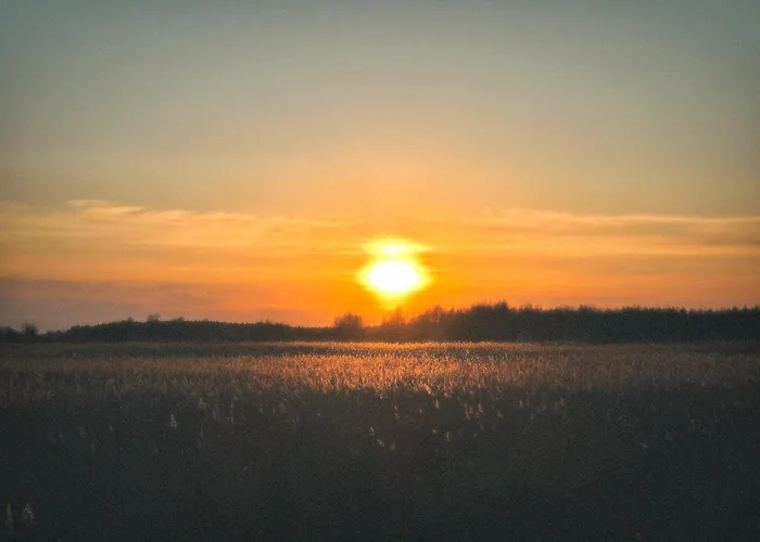 Westin House Resort&spa アパート *